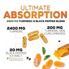 Turmeric Curcumin Supplement 2600mg - 95% Curcuminoids with Organic Turmeric