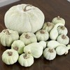 Factory Direct Craft Green Artificial Mixed Pumpkins and Gourds for