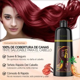 Shampoo Tinte Instantáneo Cubre Canas Natural Jengibre 500ml                                                                                          
