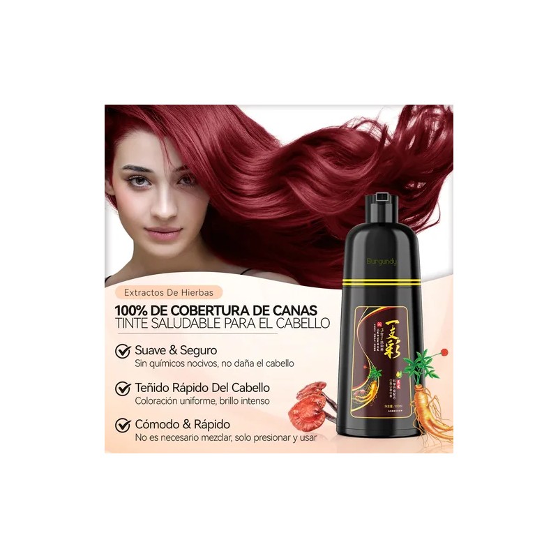 Shampoo Tinte Instantáneo Cubre Canas Natural Jengibre 500ml