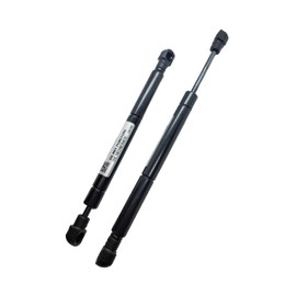 2-Pack of Hustler Steering Damper 603983 for Some Raptor and FasTrak Models Also Fits BigDog