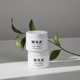 Hwayunseol Moisture Water Cream 50g Moisturizing Refreshing Care Daily Cream, Next Straight / 화윤설 모이스처 워터 크림 50g 수분보습 산뜻케어 데일리크림,넥스트레이트
