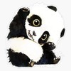 Magnet Panda Drawing Magnet Bumper Sticker Car Magnet Flexible Reuseable