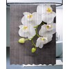 Sanilo, Shower Curtain, Many Beautiful Shower Curtains to Choose from,