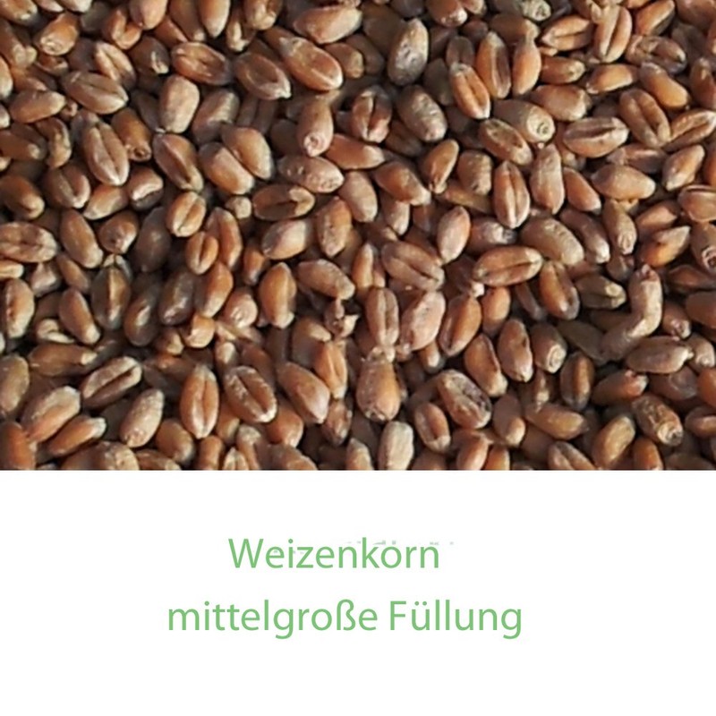 Heated Wheat Cushion 19 x 19 cm Brown / White