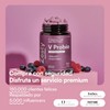 Zesty Nutrition V Probió Ultra Women's Probiotics 80 Billion CFU,