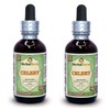 Celery (Apium Graveolens) Glycerite, Organic Dried Fruits Alcohol-FREE Liquid Extract