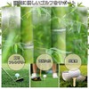 YUANXINWL Short Tee, Golf Tee, Short Tee, 2.8 inches (70