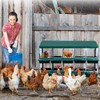 Nesting Boxes for Chickens, Chicken Nesting Box, with Lid Cover