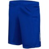 Summit Senior Soccer Shorts, Royal, Large