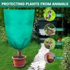 Plant Covers Freeze Protection | Frost Bags Cloths Freeze Protection