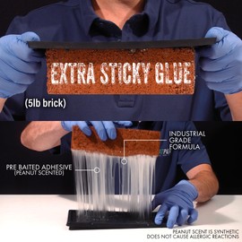 Tratper Glue Mouse Traps Indoor for Home, Pre-Baited Adhesive Plastic Trays for Mice, Rat, Snake, Lizard, Insect, & Spider Traps, Non-Toxic, Chemical-Free Pest Control. 6 Pack