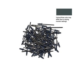 EAGLE 1: Stainless steel Rivets 1/8" x 1/4" (#43) (100, Charcoal)