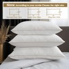 Bafode Bed Pillows for Sleeping 2 Pack, Goose Feather Down