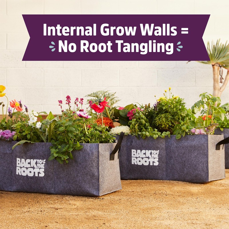 Back to the Roots Breathable Raised Bed (Provides More Oxygen