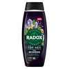 Radox Mineral Therapy Feel Recovered 2-in-1 Shower Gel & Shampoo