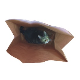 Catnip Attack Bags by Cat FurNature