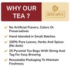 BREWIX, Sour Apple Tea Bags (25 Pyramid Tea Bags) Caffeine-Free