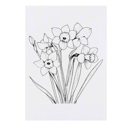 ' Boquet of Daffodils' Temporary Tattoo - Water Resistant, Skin-Safe, Non-Toxic Transfer (TO00076429)