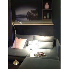 HomeFocus LED Floor Lamp Light,Living Room Lamp Light,Bedroom Lamp Light,Metal,Flexible Gooseneck LED 5W,3000K,Brushed Brass,Energy Efficient Super Bright for Home and Hotel.