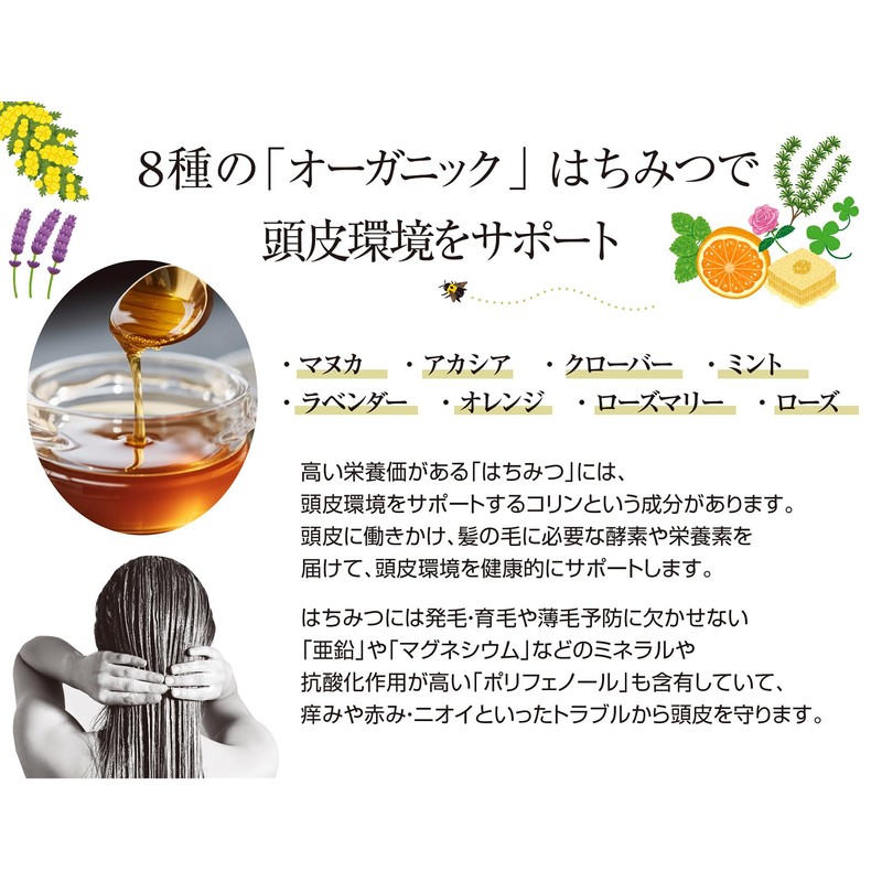 Premium Human Lactic Acid Bacteria Honey Treatment, 10.1 fl oz