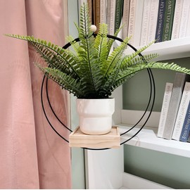 Lehnedar Boho Plant Hanger Indoor Wall Mount Hanging Plant Holder Shelf Basket Tray Bohemian Gold Wall Decor (Black)