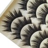 5 Pairs Black Thick Makeup Natural False Eyelashes Eye Lash