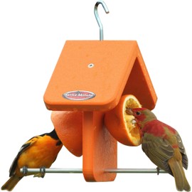 Kettle Moraine Recycled Single Oriole Orange Fruit Feeder