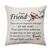 Aconesong Memorial Cushion Cover for Loss of Friend - Bereavement