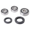 Tusk Wheel Bearing and Seal Kit Compatible with Yamaha TTR230