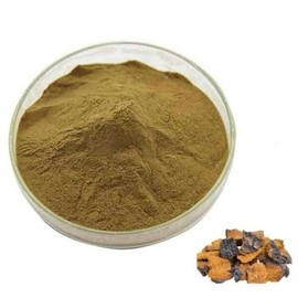 차가버섯추출물분말 100g Chaga Mushroom Extract Powder 100g