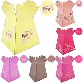 Mothers Day/Love Bouquet Box Vase - Transportation/Display Flower Box (Cream Heart)