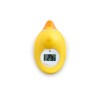 Rotho Babydesign 20430 Digital Bath Thermometer, Duck
