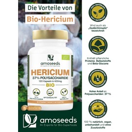 Lions Mane BIO | Hericium Erinaceus, Gedächtnispilz | Hochdosiert, 37% Polysaccharide | 120 Kapseln | Vegan, Laborgeprüft, Ohne Zusatzstoffe | Spitzenqualität