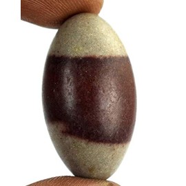 KLEO Espranade Narmada Stone Narmadeshwar, Shiva Lingha | Shiva Lingham | Indian Idol Statue (1" Small, Fantasy, Brown)
