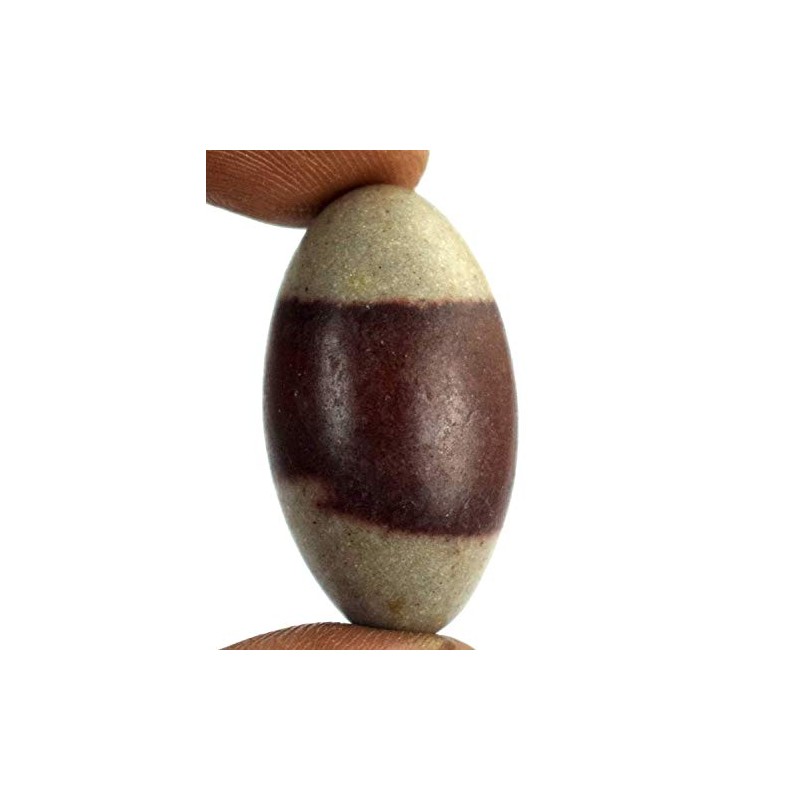 KLEO Espranade Narmada Stone Narmadeshwar, Shiva Lingha | Shiva Lingham