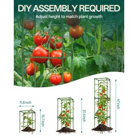 Breeze Touch 3 Pack Square Tomato Support Cages, Up to 47 Inch Adjustable Tomato Trellis for Garden & Pots, Small Plant Cages, Plant Support for Climbing Vegetables, Flowers, Beans, Cucumber Peony