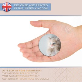Destination Vinyl ltd Magnet for Refrigerator, Fridge - Cute Kitten Cat Baby Cats for Office, Cabinet and Whiteboard, Magnetic Stickers, 2327