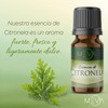 MEVA Esencias para Difusores y Humidificadores de Aromas 5ml Varios