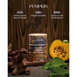 M&SENSE Pumpkin Scented Candles Natural Non Toxic, Aromatherapy Candle for Stress Relief Meditation Relaxing, Housewarming Gifts for Women Men, 11.3oz 70 Hour Long Burning