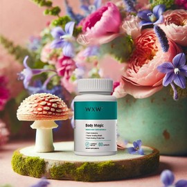 Body Magic Chlorophyll Capsules - 60 Vegan Capsules - for Detox, Digestion, Gut Health, Skin, Oily Skin & More - Specification: Pack of 3