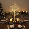 NXUEBDU 2ft Lighted Birch Tree with 144 Warm White LEDs