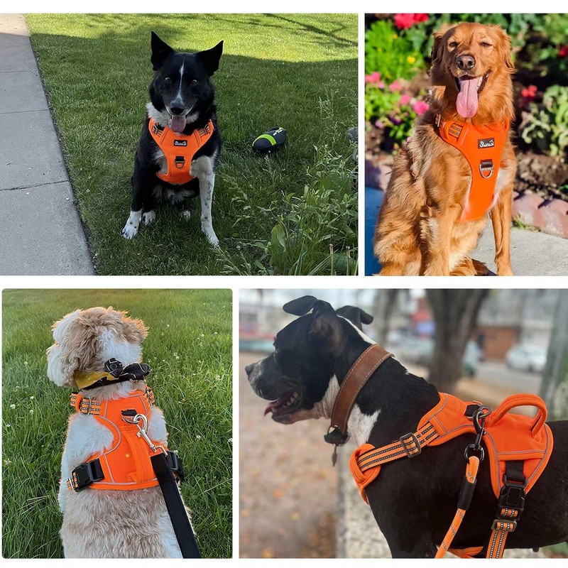 SlowTon No Pull Dog Harness, Heavy Duty No Choke Pet