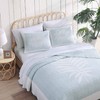 Tommy Bahamaa Lightweight Cotton Pillow Sham, Tropical Home Décor, Standard,