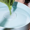 AMONENZ Hedgehog Flowers, Pack of 4 Plastic Ikebana Hedgehogs, Suction
