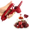 Cherry Pitter Tool, Heavy-Duty Stainless Steel Pitting Tool, Portable Cherries