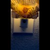 Nightlight Scallop Shell Coastal Decoupage Shell Art Light- Beach Theme