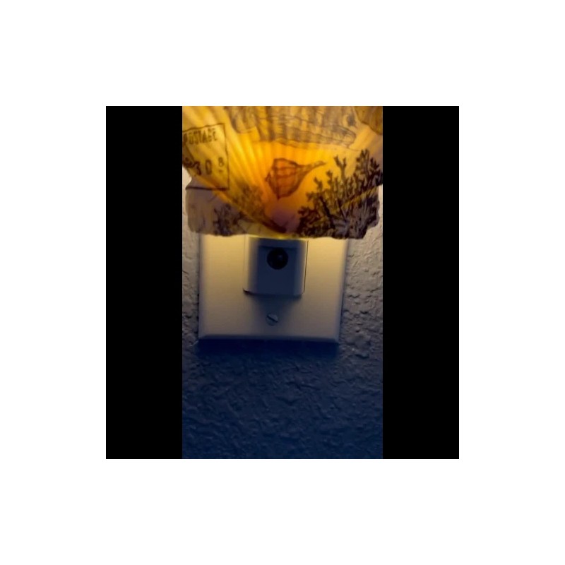 Nightlight Scallop Shell Coastal Decoupage Shell Art Light- Beach Theme