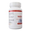 NADH 20 mg – 90 Vegan Capsules – Coenzyme 1