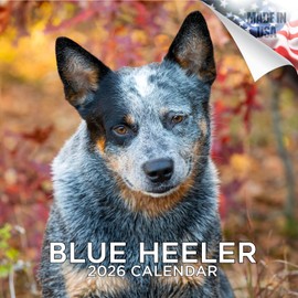 2025 2026 Blue Heeler Dog Calendar - Dog Breed Monthly Wall Calendar - 12" x 24" Open - Thick No-Bleed Paper - Giftable - Academic Teacher's Planner Calendar Organizing & Planning - Made in USA